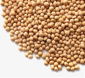 利澳国际注册科技