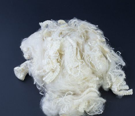 利澳国际注册科技