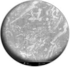 利澳国际注册科技