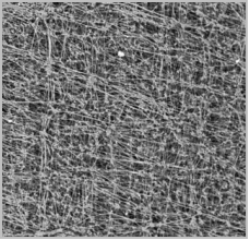 利澳国际注册科技