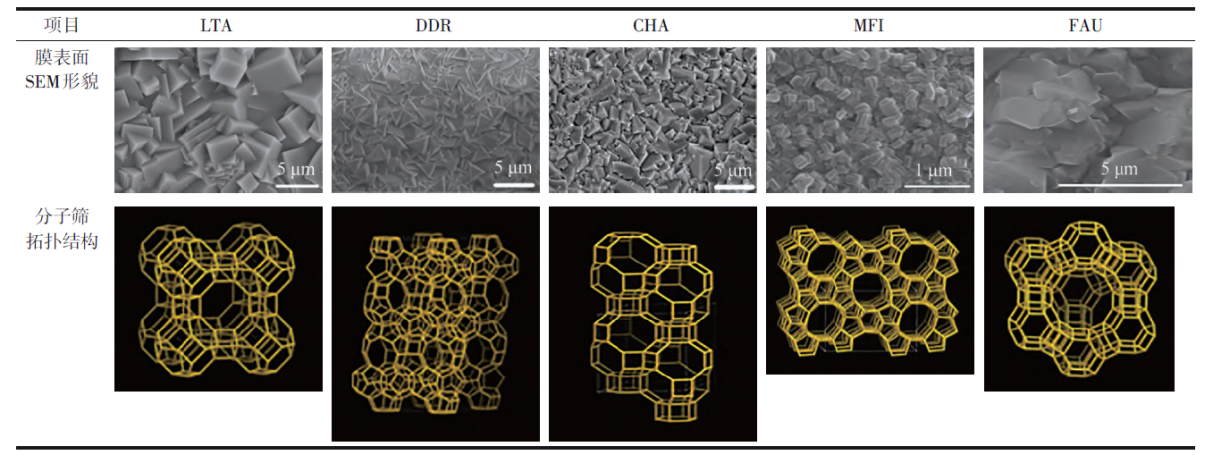 利澳国际注册科技
